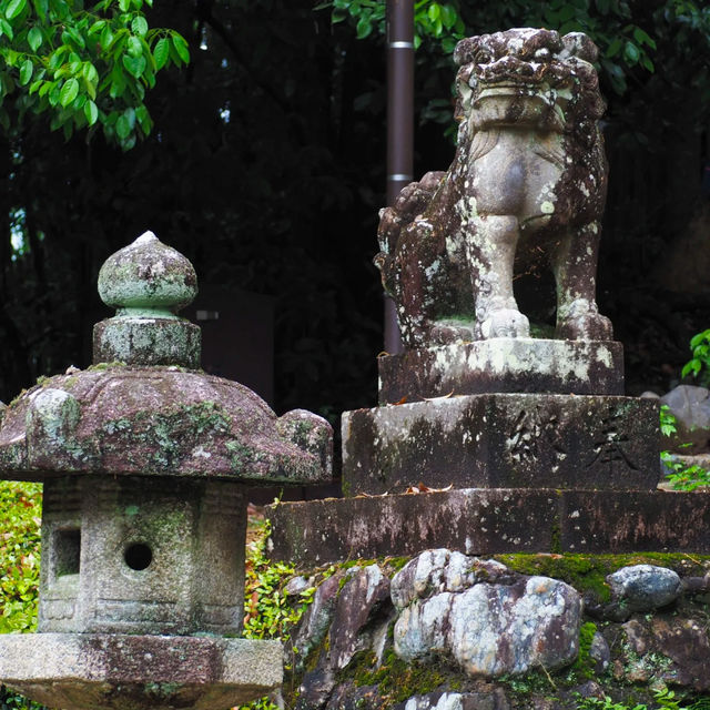大國主神社⚜️祥和寶地
