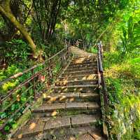 【臺北】市民喜愛的郊山步道之一，適合各年齡層的登山愛好者。
