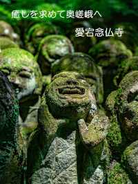 千二百体の羅漢さんに癒やされたい！そんな時は【愛宕念仏寺】