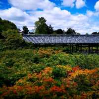 東福寺