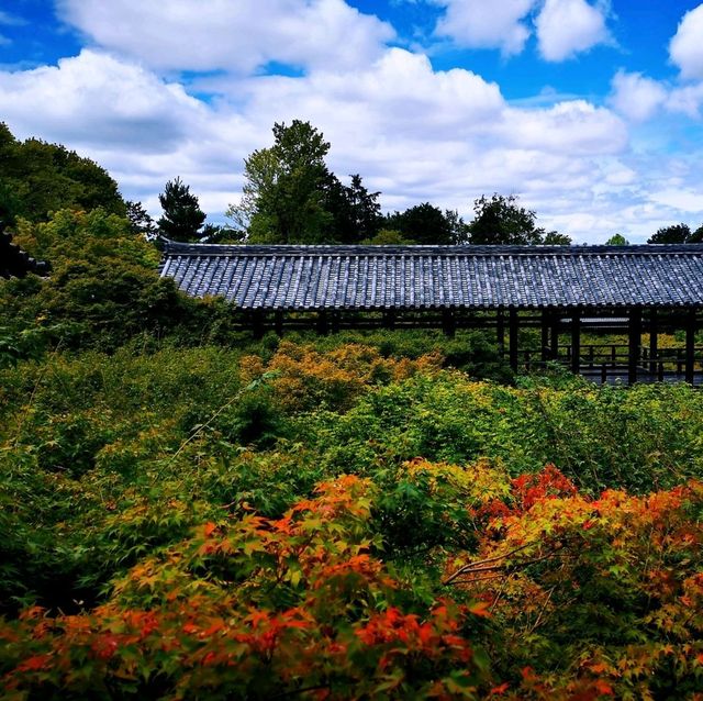 東福寺