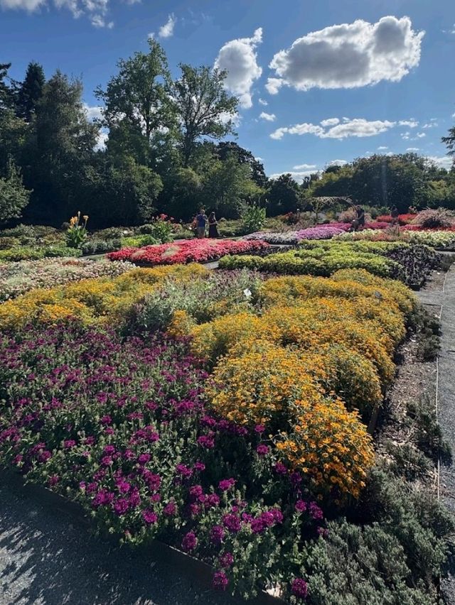 A park for many things