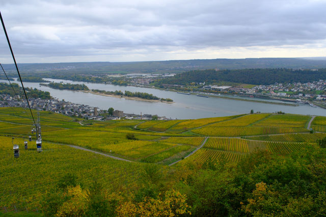德國Rüdesheimer Berg Roseneck葡萄園給愛葡萄酒的人