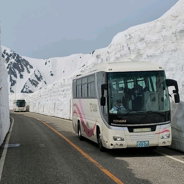 立山室堂雪之大谷，壯觀雪壁與藍天交織的冬日奇景。