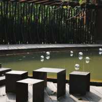 SOP Cafe - คาเฟ่ของกาลเวลาและธรรมชาติ