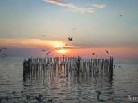 รีวิว สถานตากอากาศบางปู ( ดูนกนางนวล ) 🕊️