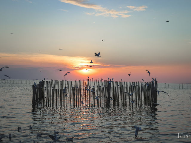 รีวิว สถานตากอากาศบางปู ( ดูนกนางนวล ) 🕊️