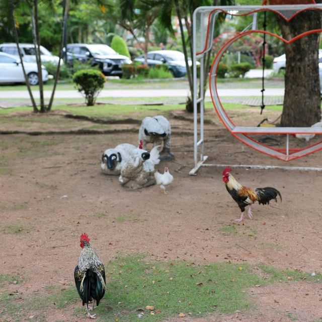 Pet Friendly เอาใจคนรักกระต่ายและนกโดยเฉพาะ