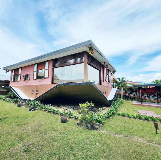 Upside Down House