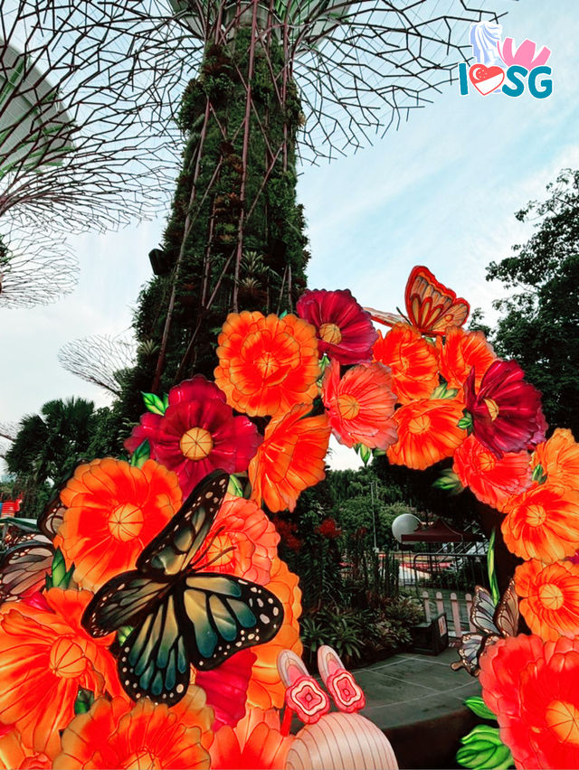 🇸🇬 A date in the garden of lanterns