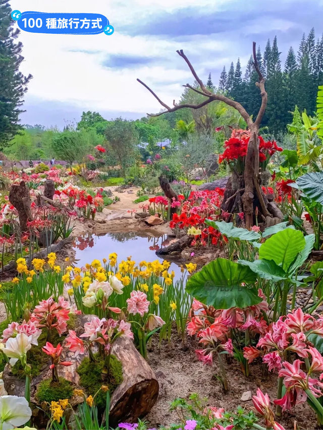 《郊遊》【深圳仙湖植物園】豐富植物景觀，化石森林展示自然奇觀。適合郊遊、中式園林愛好者