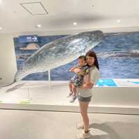 大阪自由行｜大阪水族館海遊館