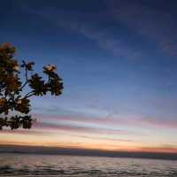 หาดวอนนภา