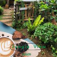 คาเฟ่บนดอย Jungle View Coffee