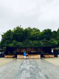 【福岡観光】124年ぶりの大改修✨️森の仮殿🌳
