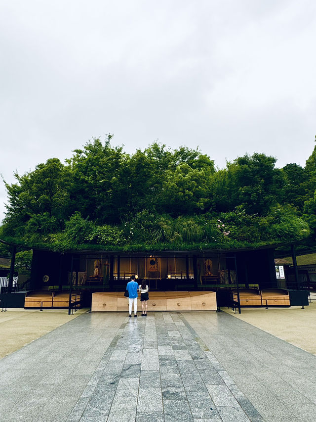【福岡観光】124年ぶりの大改修✨️森の仮殿🌳