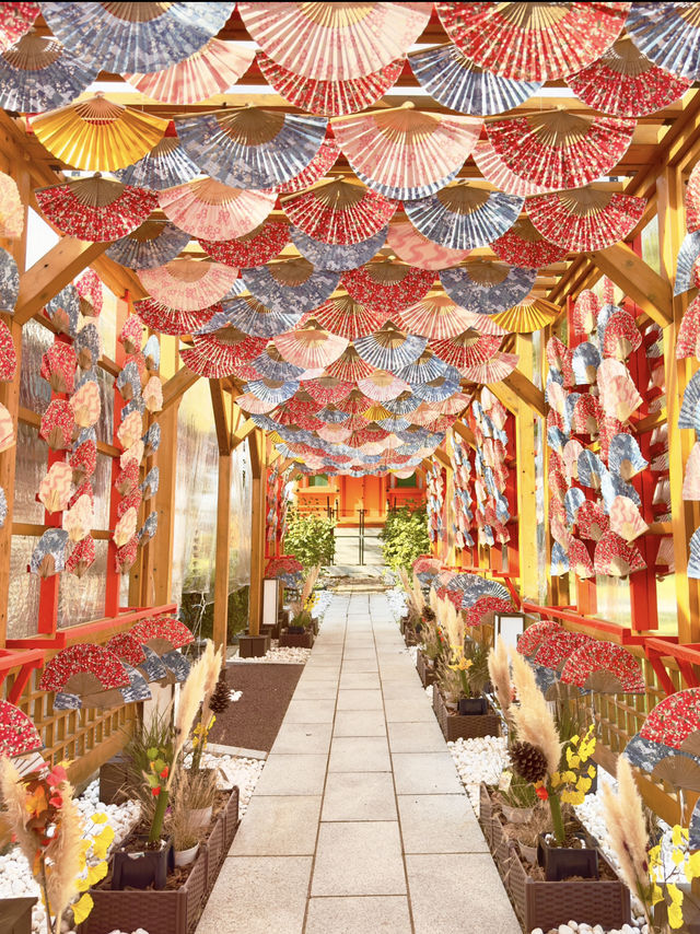 〜埼玉県〜可愛い🪭飾り！秋限定！青葉園