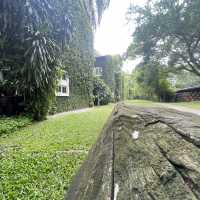 คาเฟ่โรงบ่ม เก๊าไม้ล้านนา 