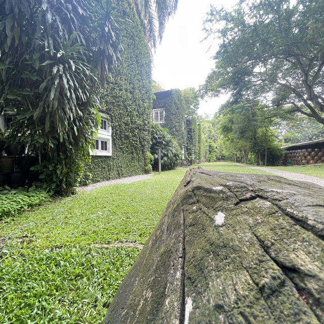 คาเฟ่โรงบ่ม เก๊าไม้ล้านนา 
