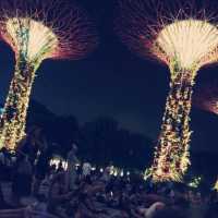 Gardens by the Bay ：白日綠意與夜晚燈光的完美結合