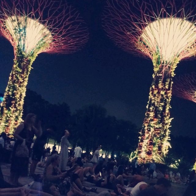 Gardens by the Bay ：白日綠意與夜晚燈光的完美結合