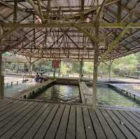 One of the iconic hot spring in kuching - Kampung Panchor Hot Spring