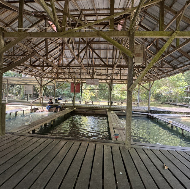 One of the iconic hot spring in kuching - Kampung Panchor Hot Spring