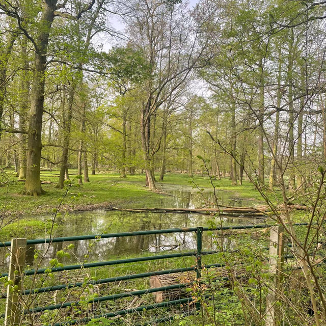 The Mill Field🌲自然樂園 🌼🌳