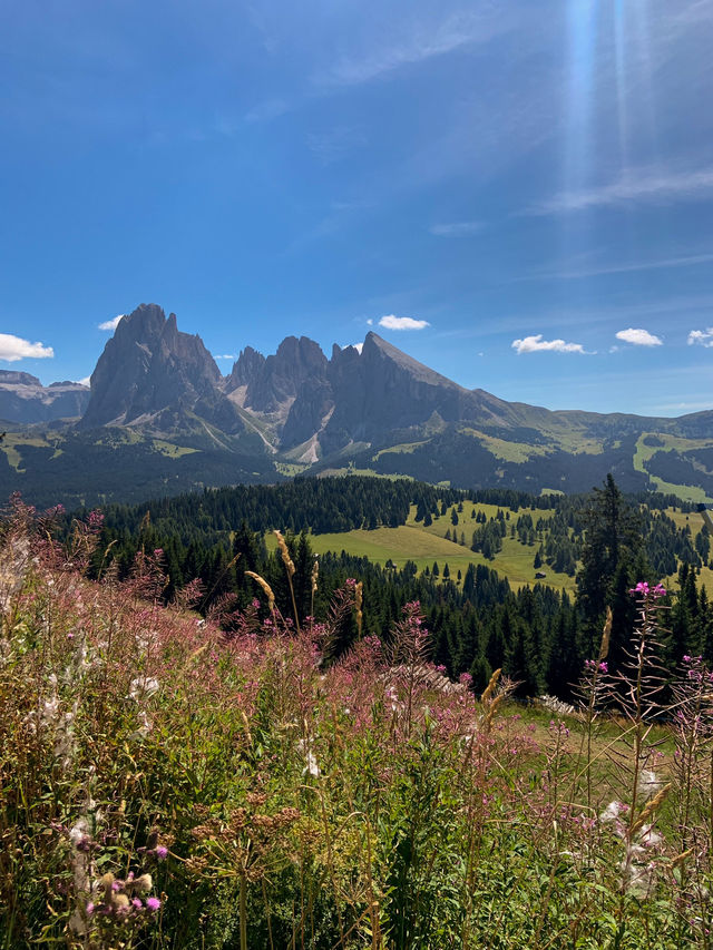 🇮🇹多洛米蒂旅行·人間天堂Alpe di Siusi 