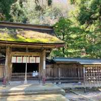 若狭姫神社と若狭彦神社