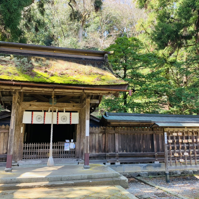 若狭姫神社と若狭彦神社