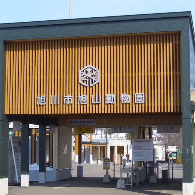 【旭川市旭山動物園】北海道🌟