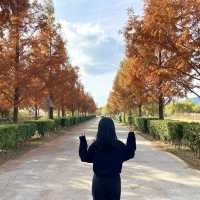 부산의 숨겨진 가을산책길을 찾아서🍂🍁