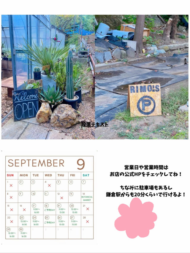 鎌倉に無料の癒し空間見つけちゃいました！