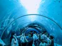 รีวิว S.E.A. Aquarium🇸🇬 