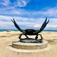 Celebrating the Diversity of Marine Life