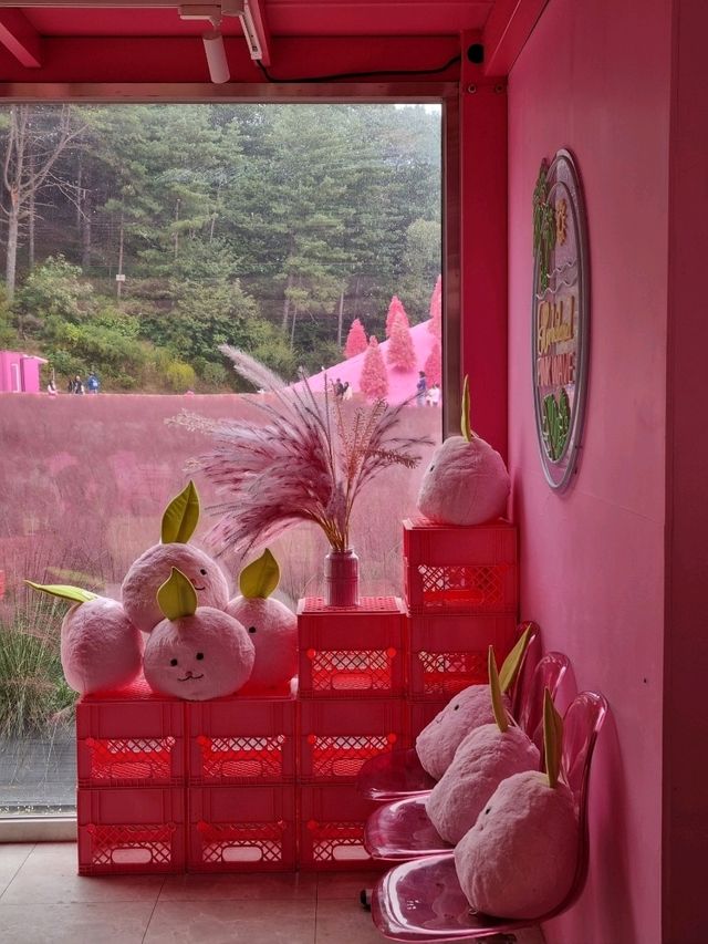 허브아일랜드, 핑크빛 낭만 속 핑크뮬리와 핑크샌드의 만남