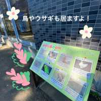 知多半島の旅　明治天皇縁の地　雁宿公園
