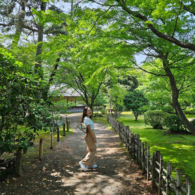 【名古屋】名古屋のシンボル！金のシャチホコ名古屋城🏯