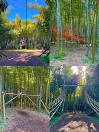【栃木】あの人気映画のロケ地にもなった！マイナスイオンたっぷりの美しい竹林🫣🌿【宇都宮】