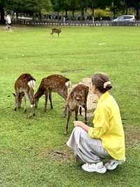 Family Fun at Nara Park, Japan! 🦌🌿