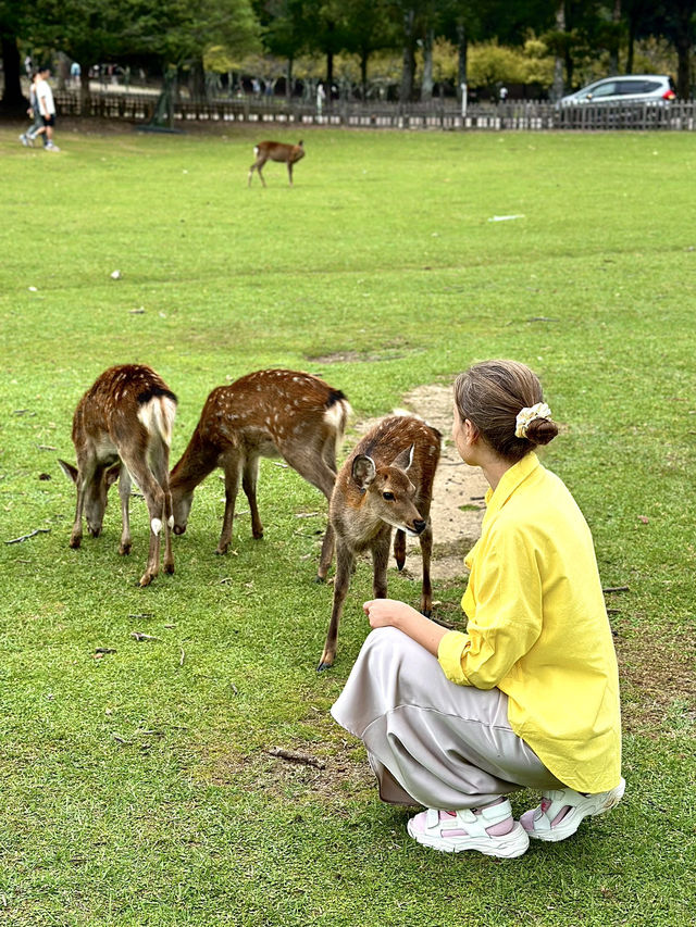 Family Fun at Nara Park, Japan! 🦌🌿