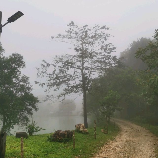 หมู่บ้านอีต่อง เมืองในหมอก