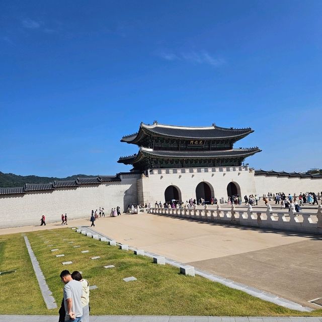 서울의 노랑버스투어를 아시나요?
