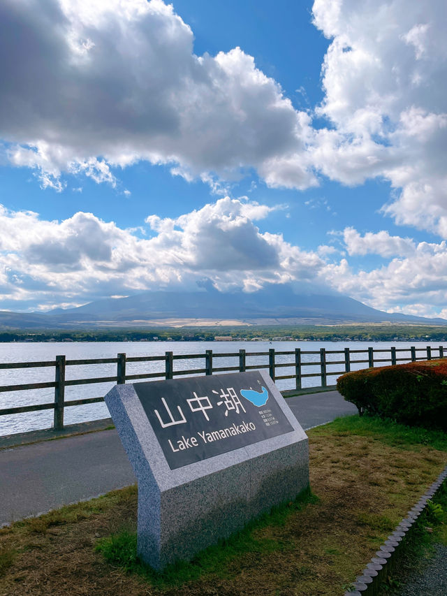 พาชมวิวฟูจิที่ทะเลสาบยามานากะโกะ 🏞️🌳🏔️