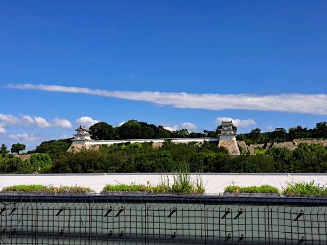 【赤穂八幡宮:兵庫県赤穂市】歴史ある美しい神社⛩️