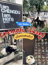 เฉิงตู (chengtu) เมืองแพนด้า!
