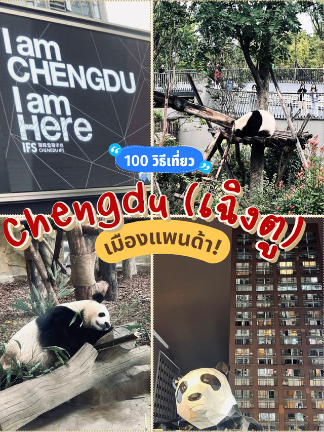 เฉิงตู (chengtu) เมืองแพนด้า!