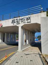 동해여행코스로 추천하는 추암해변💜