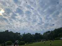 新界最值得參觀的海濱公園